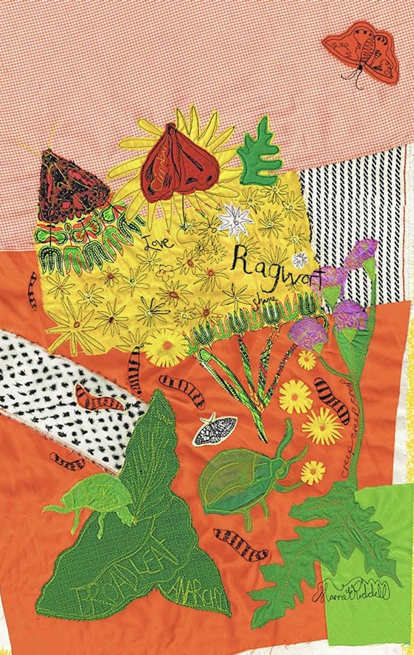 Re-Wilding Tea Towel - InStitchYou Gallery